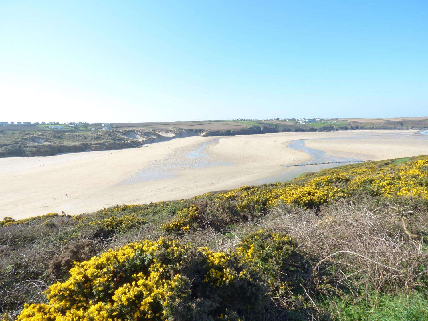 Villa Fistral Breeze New Quay Exterior foto